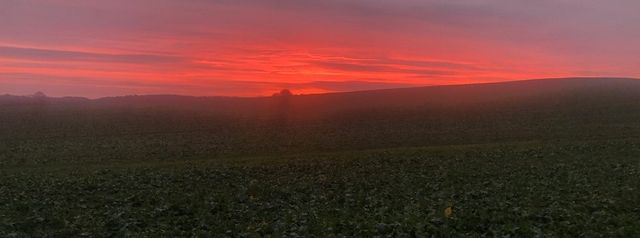 Solnedgang over marker