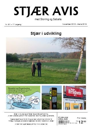 Forsiden af Stjær Avis - Nr. 61, 17. Årgang