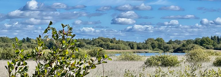 Udsigt til Tåstrup Sø