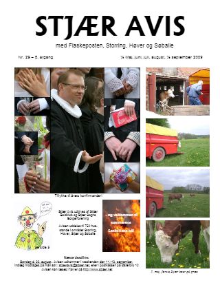 Forsiden af Stjær Avis - Nr. 29, 8. Årgang